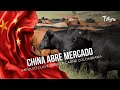 China abre mercado: impulso clave para la carne colombiana - TvAgro por Juan Gonzalo Angel