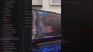 Responsive website in HTML CSS and JavaScript #frontend #css #vscode #webdevelopment
