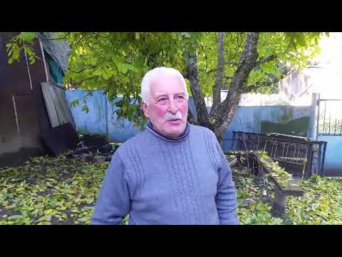 კორიანტელას მილოცვა ლევან ბიჭაშვილისაგან სოფ.გლოლა 2017წ.