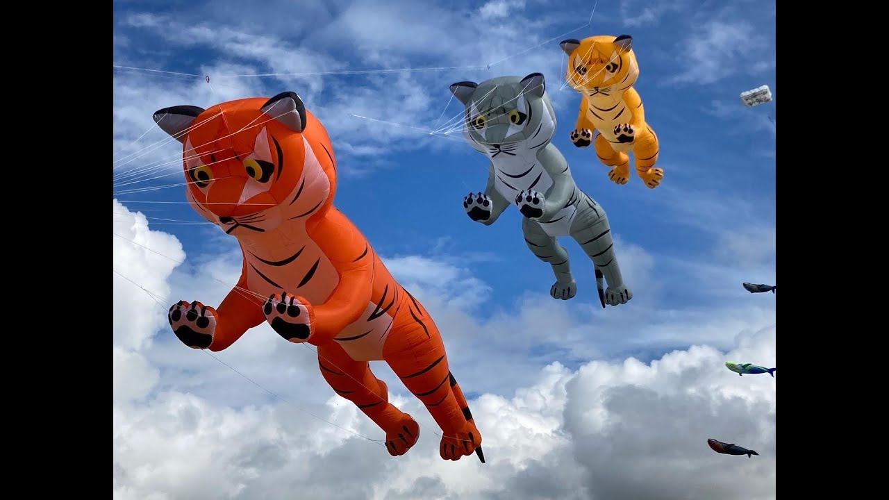 Portsmouth International Kite Festival 2021