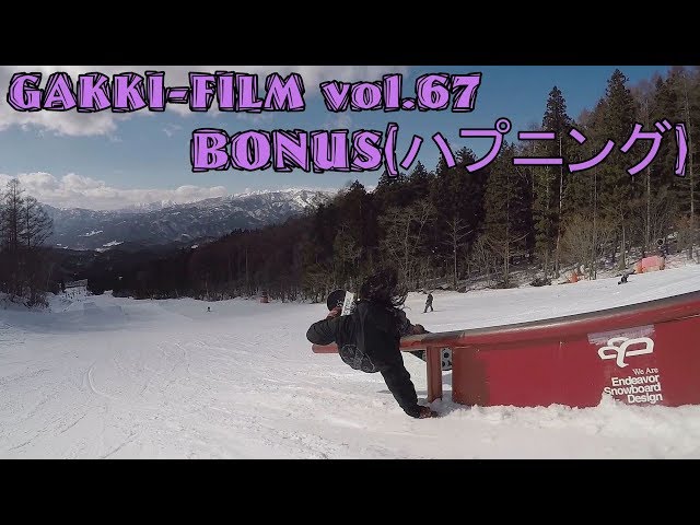 BONUS ハプニング 16-17season snowboard ( スノーボード 衝撃 失敗 クラッシュ パーク )