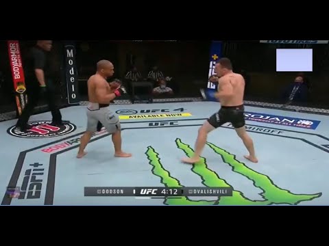 Merab Dvalishvili vs John Dodson fight footage