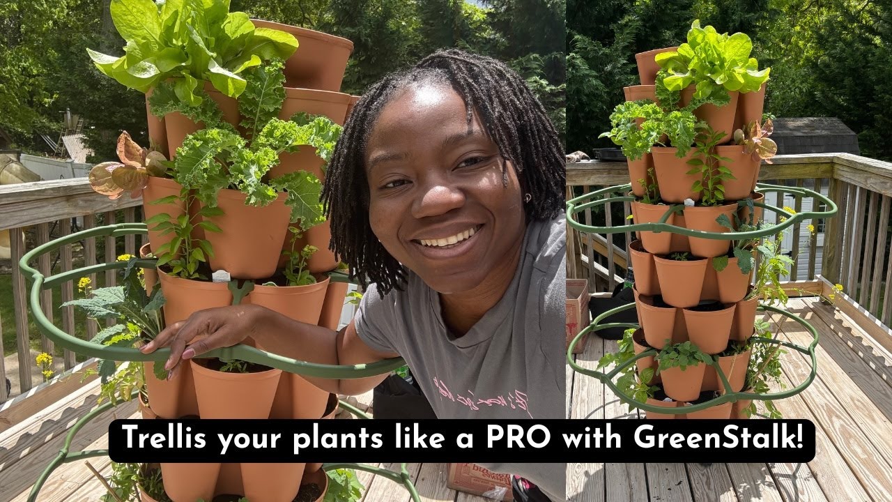 Trellis your plants like a PRO with GreenStalk