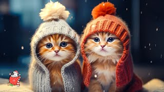 Calming Music for Cats that Gives Comfort, Anxiety Relief - Relaxing Sleep Music with Purring Sounds