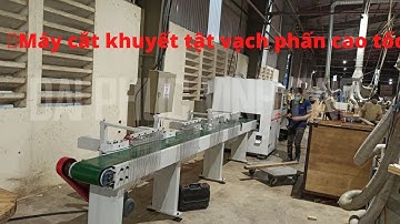 MÁY CẮT CAO TỐC VẠCH PHẤN, CẮT OPTICUT, CẮT KHUYẾT TẬT, PHÂN LOẠI PHÔI WOODMASTER | WM-260