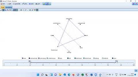 Product Affinity Analysis| Web Chart using IBM Modeler