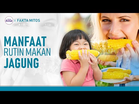 Jagung Digunakan Untuk Apa