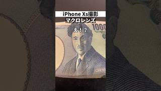 魚眼! #100均