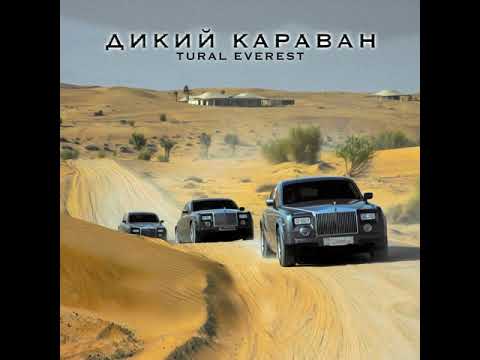 Опель ашка караван