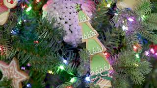 Beranda Pantulan Warna Flip Peri Lampu Pohon Natal di QVC screenshot 5