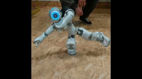 Nao the robot doing his taï-chi: dancing zen attitude