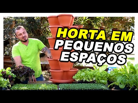 Vídeo: Can I Grow Hosta Inside - Dicas sobre como cultivar Hosta como planta de interior