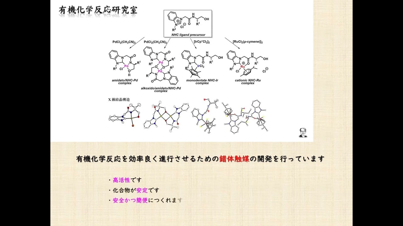 関西大学 化学生命工学部 坂口聡 教授 『有機化学反応研究室で行って