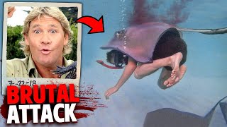 The TERRIFYING Last Minutes of Steve Irwin The Crocodile Hunter