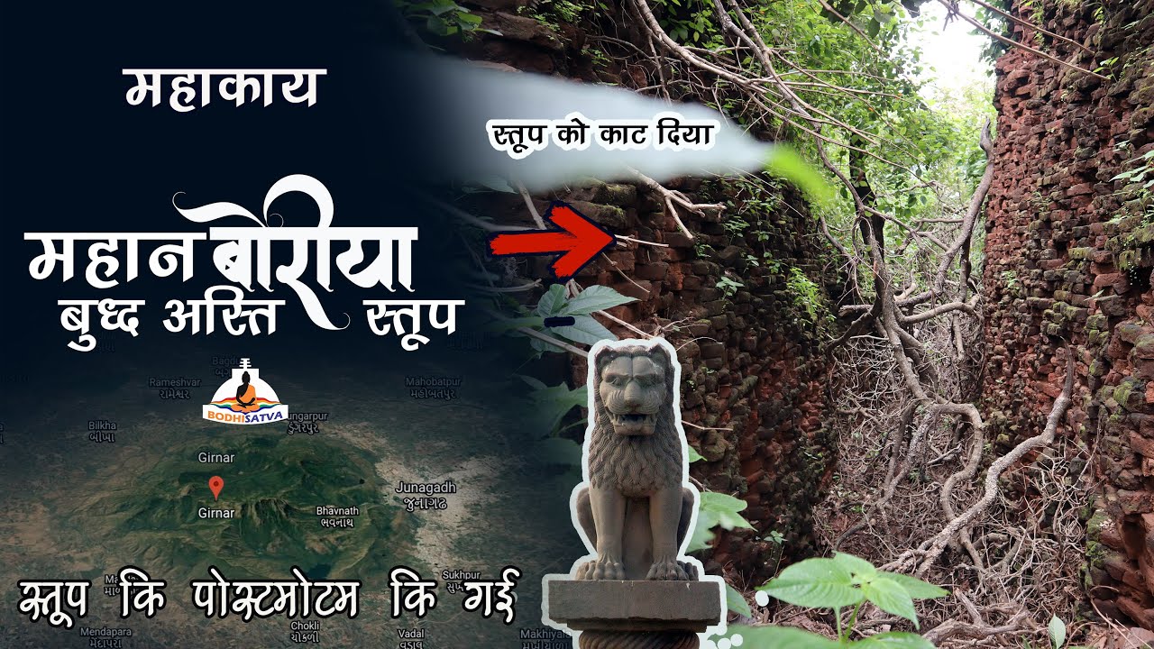 गिरनार कि जंगल में सिंहो के बिच बैठे है तथागत बुद्ध | रहस्य महाकाय महान बोरिया बौद्ध स्तूप का