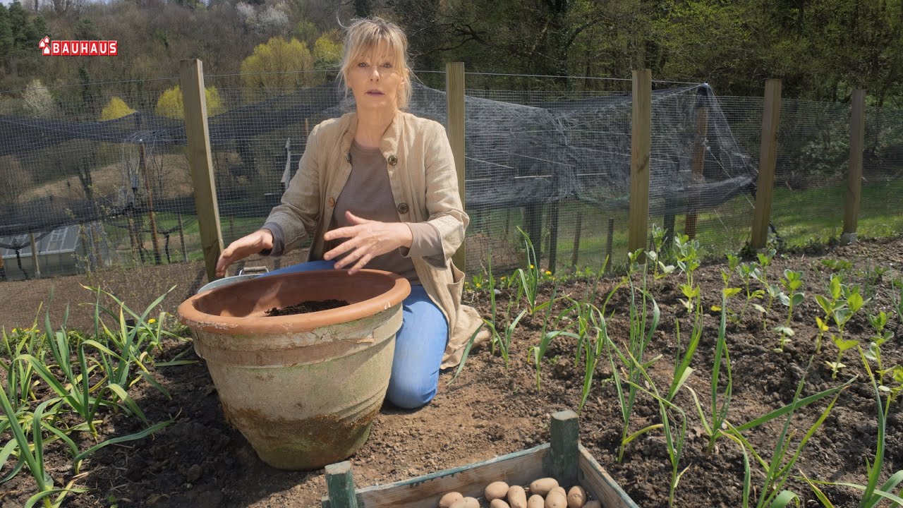 Škola vrtlarstva - uzgoj krumpira bez muke