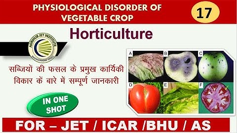 Physiological Disorder of Vegetable crops|| Jet, ICAR,BHU,AS||