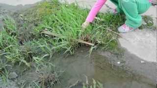 Gabbie discovers a mouse. - EGF027