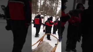 Husky dog safari at Saariselka