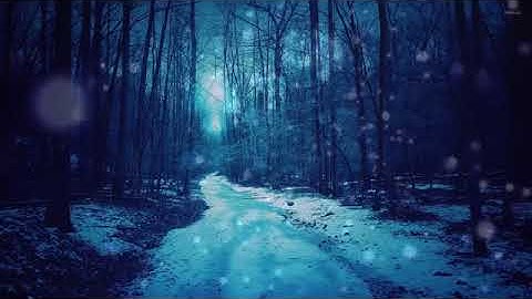 القارئ الذي ادهش الجميع اسلام صبحي سورة الأنبياء 😍 Beautiful