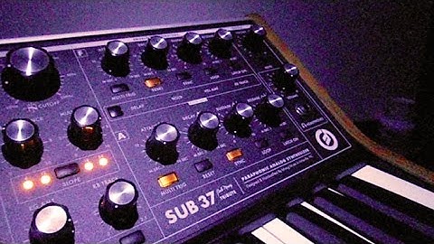 Moog Sub 37 Synthesizer Demo #1 Sounds