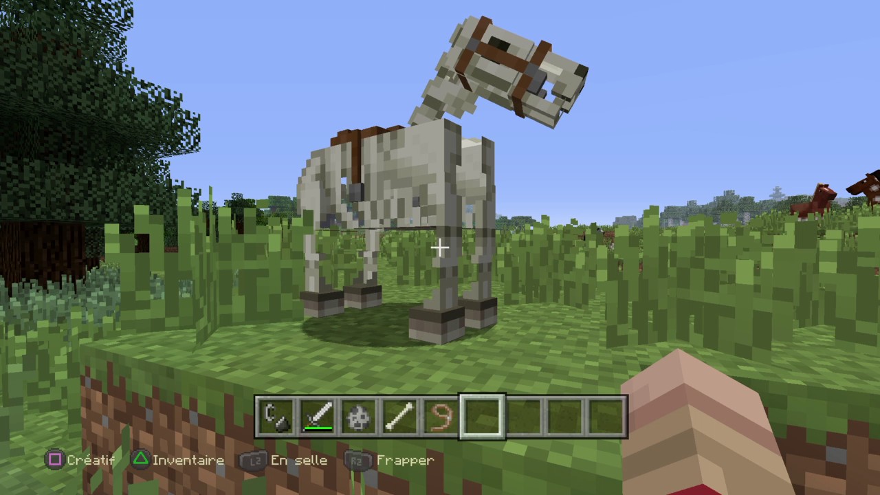 Minecraft: cheval squelette ? - YouTube