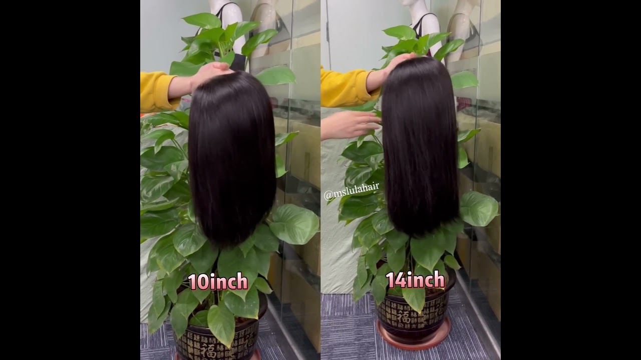 Cute short bob wig, 10inch vs 14inch, ft. Ms Lula Hair