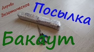 Посылка с экзотическим деревом Бакаут.