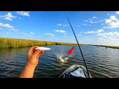 Kayak Fishing in the Worlds Best Inshore Fishery with THIS!!