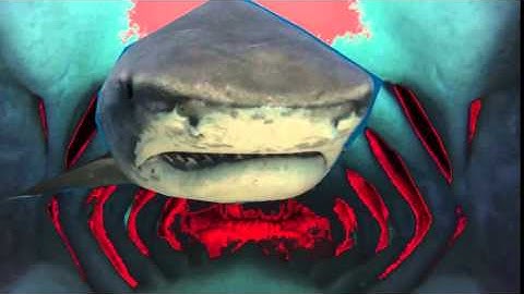 final countdown animation