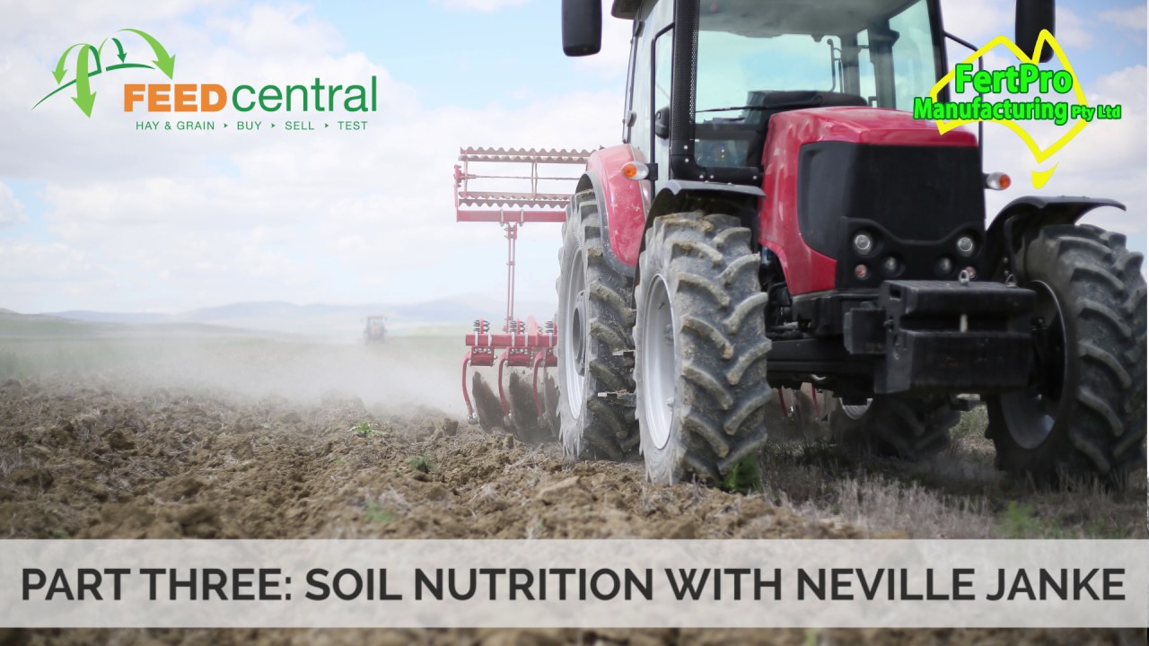 video phone beyonce mp3 Soil Nutrition Part 3