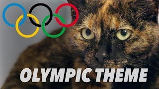 Olympic Theme with a cat 😸