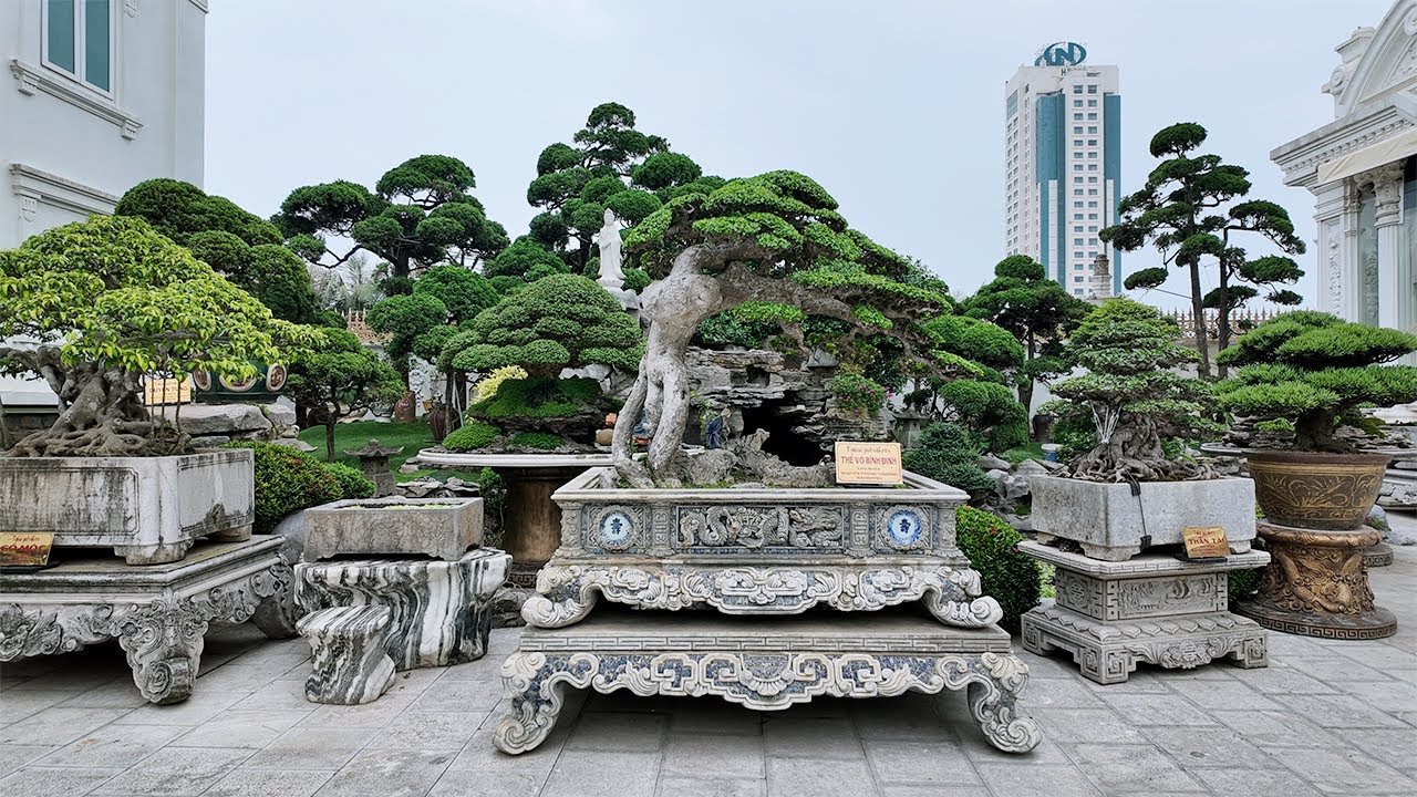 Vườn Cây Cảnh Số 1 Hải Dương Anh Em Xem 1000 Lần Không Chán Mắt