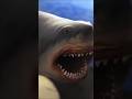 Megladon Shark Dunya Ki Sabsay Bari Shark Informativeshort mp3