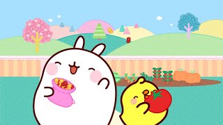 Molang and Piu Piu's incredible vegetable garden! | Season 2 Episode 29