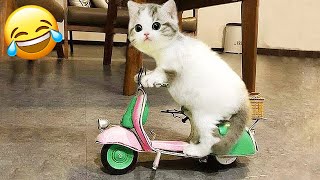 FUNNIEST ANIMALS VIDEO _ FUNNIEST CATS AND DOGS 2024😹🐶 BEST VIDEO ANIMALS COMPILATION EP 6 😂