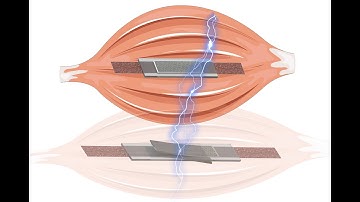 Self sensing electric artificial muscles