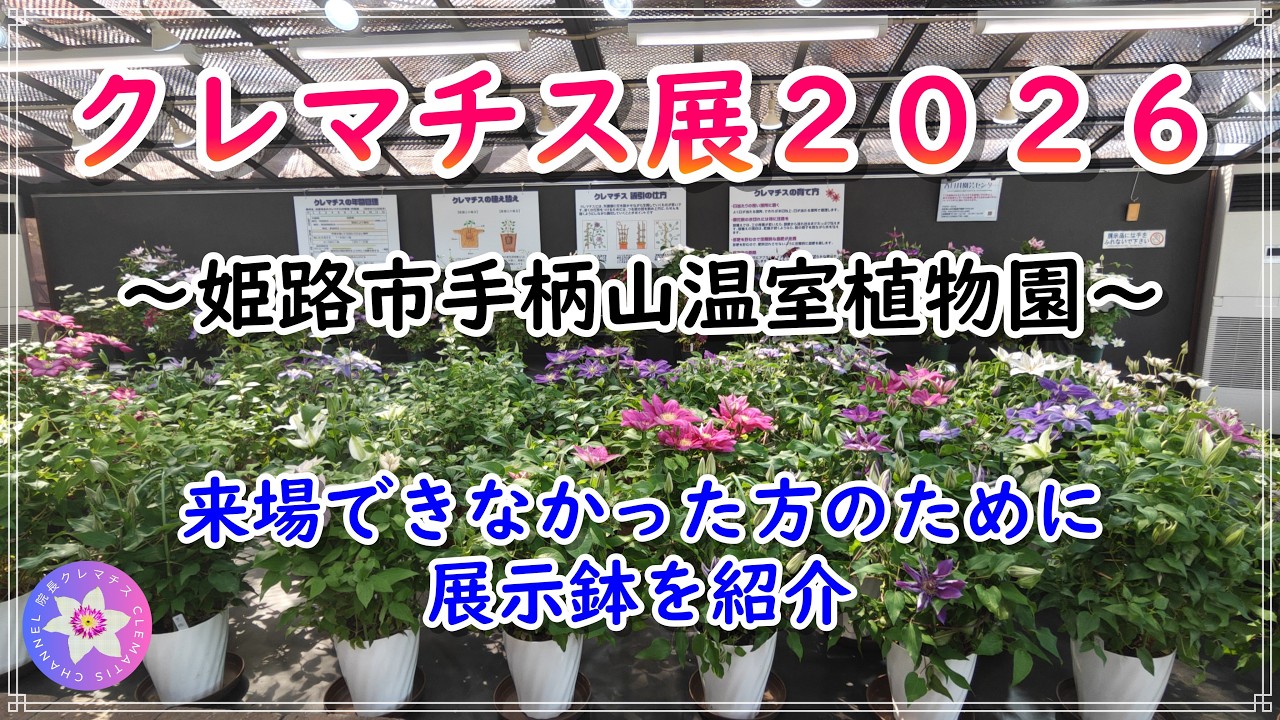 Clematis Exhibition 2026, Himeji City Tegarayama Greenhouse