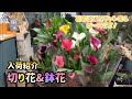 【花屋】今回の花紹介!可愛い花が色々入って来ました!鉢花はカラーがオススメです!!#668