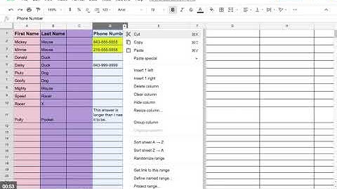Google Sheets: Novice - Insert and Delete Columns and Rows