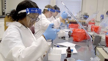 Sea Gulls Return to Campus for Spring Semester