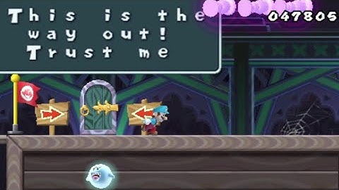 Secret of Boo Woods - Custom NewerSMBW Level