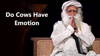 Do Cows Have Emotion, SADHGURU PODCAST