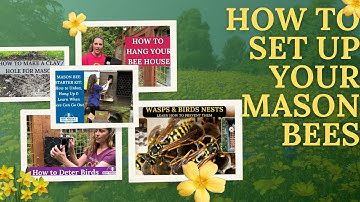 Mason Bee Setup: Open Your Kit, Hang Your House, Make Mud Hole & Learn How to Protect Your Bees!