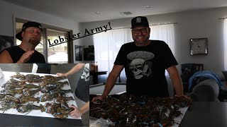 Maine Lobster Now Unboxing and Review Video - Crazy Turn of Events - 23 Live Lobsters Cooked 5 Ways