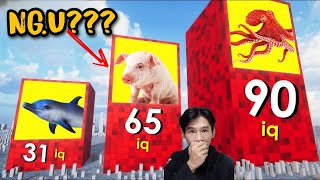 IQ của tất cả con vật, BÒ HEO có thật Ng.U? | khanhtrungsi
