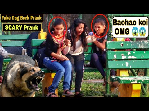 fake-dog-bark-prank---girl's-gone-mad-|-epic-reactions|-pranks-in-india|-@prank-buzz-|-by-tci