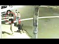 Rottweiler jumps out of the car to attack a dog!!!