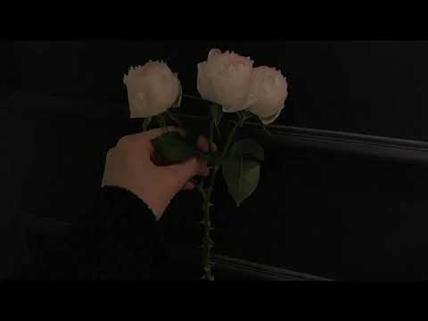 𝑫𝒚𝒍𝒆𝒓 & 𝑫𝑩 𝑮𝒂𝒅 - 𝑹𝒆𝒔𝒂𝒍𝒂 (𝑺𝒍𝒐𝒘𝒆𝒅 𝑫𝒐𝒘𝒏)