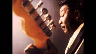 Muddy Waters - You Can't Lose What You Ain't Never Had chords